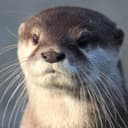 ninjakiero's Steam profile picture