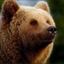 testuser1's Steam profile picture